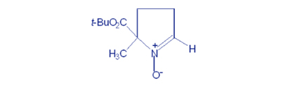 Spintrap Structure