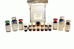 Urinary 8-Hydroxydeoxyguanosine (8-OHdG) ELISA Kit