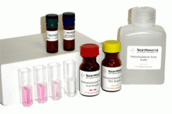 Malondialdehyde (MDA) Assay Kit: 200 Tests