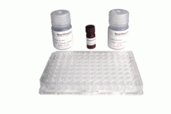 Superoxide Dismutase Activity Assay Kit