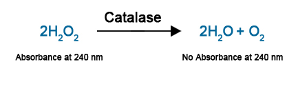 catalase antioxidant assay catalase article