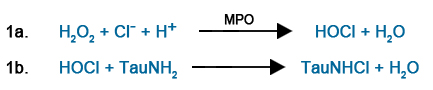 MPO03 Reaction